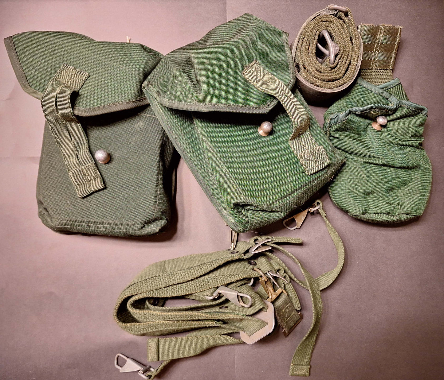 Swedish 304 Webbing set